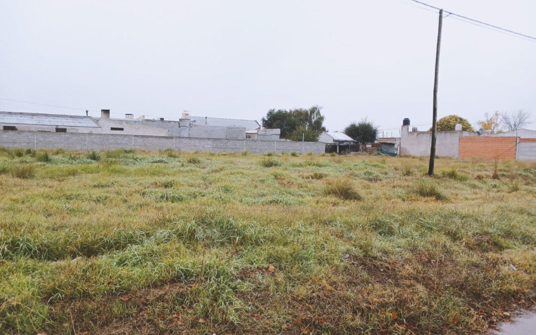 4 LOTES EN BUENA UBICACIÓN