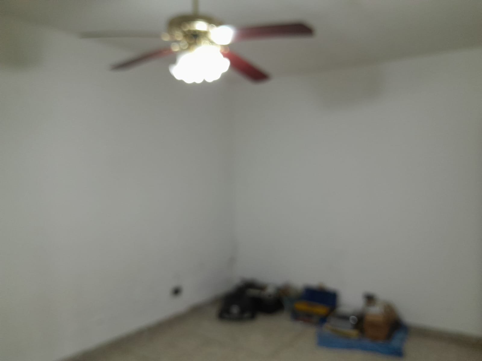 IMG-20240619-WA0014 (1)